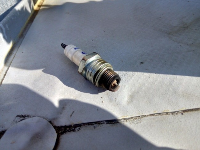 IMG_20200601_075726 (1).jpg