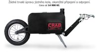 crab.jpg